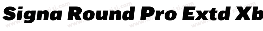 Signa Round Pro Extd Xblack Italic字体转换